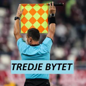 Tredje Bytet