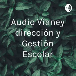 Audio Vianey dirección y Gestión Escolar