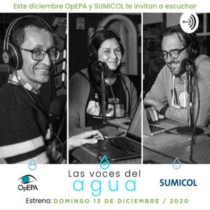 Voces del Agua