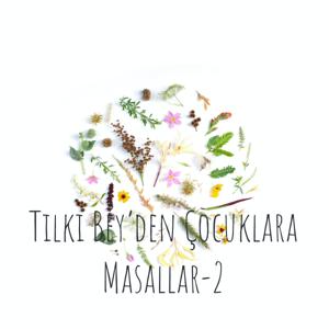 Tilki Bey'den Çocuklara Masallar-2