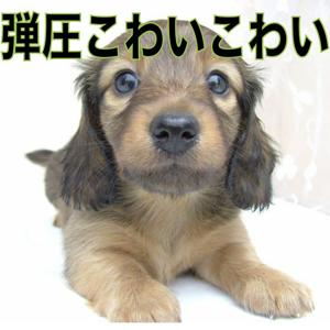 弾圧こわいこわいラジオ