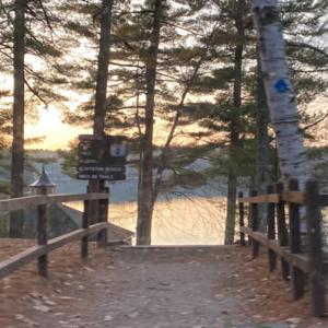 Walden the book & Concord the Town