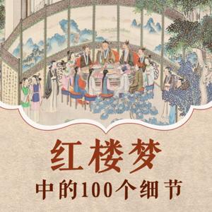 名著解读｜红楼梦中的100个细节 by 黯夜无言