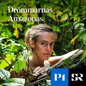 Drömmarnas Amazonas