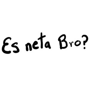 Es neta Bro?