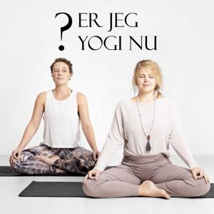 Er jeg Yogi nu?