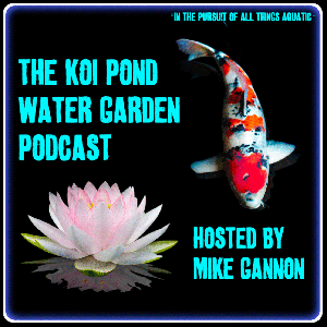 The Koi Pond Water Garden Podcast