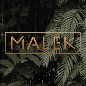 Malek's Podcast