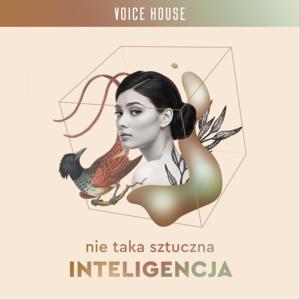 Nie taka sztuczna inteligencja by Piotr Psyllos • by Voice House