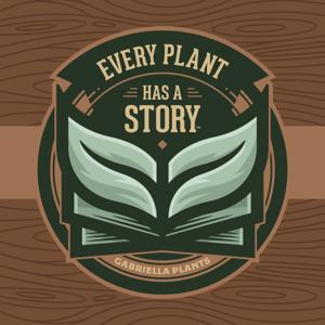 Every Plant Story | Gabriella Plants