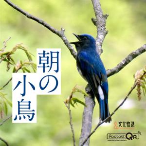 朝の小鳥 by 文化放送PodcastQR