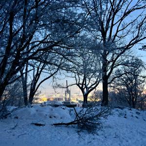 Anekdoten von Idioten