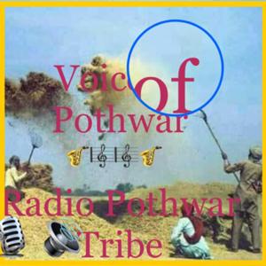 Radio Pothwar Tribe