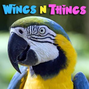 WingsNThings - Birds & Parrots as Pets - All About Pet Birds - Pets & Animals on Pet Life Radio (PetLifeRadio.com) by Barbara Heidenreich and Robin Shewokis