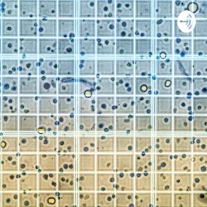 المناعة وبيولوجيا السرطان - Cancer Biology & Immunology