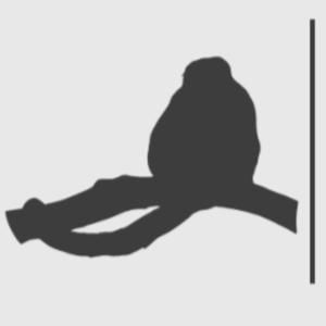 Cada Macaco no seu Galho