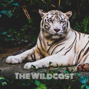 The Wildcast: The Official Podcast of Piedmont Intermediate