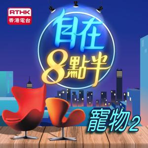 自在8點半 (寵物 2)