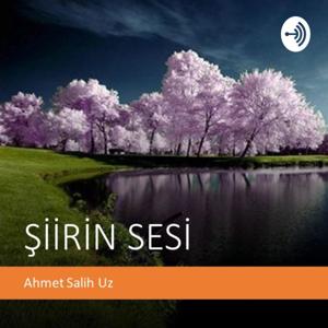 ŞİİRİN SESİ