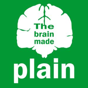 The Brain Made Plain