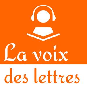 La voix des lettres by Quentin Rendu