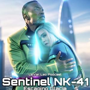 Sentinel NK-41