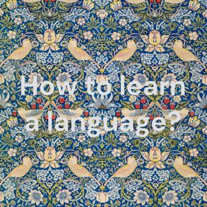 How to learn a language?