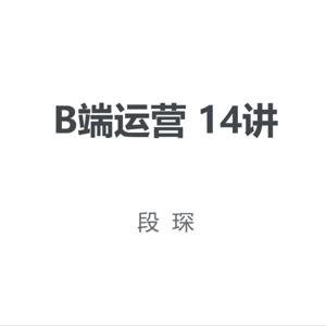 段琛 | B端运营 14讲