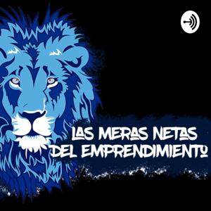 Las meras netas del Emprendimiento