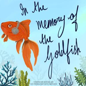 In the Memory of the Goldfish