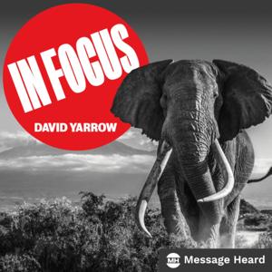 In Focus with David Yarrow by Message Heard / David Yarrow