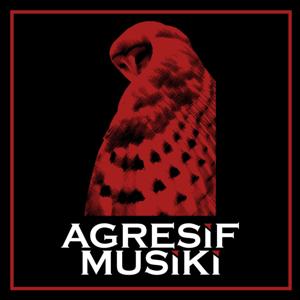 Agresif Musiki