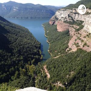 Podcast de José Zaucedo