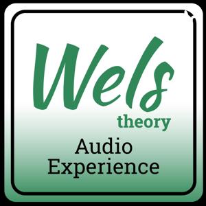 Wels Theory - Audio Experience