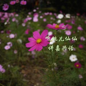 桃儿仙仙dj
