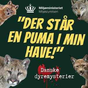 Der står en puma i min have