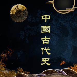 最生动的中国古代史（隋唐-明清）