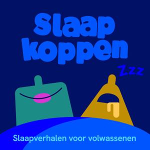 Slaapkoppen by Tjalling Huisman