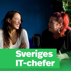 Sveriges IT-chefer