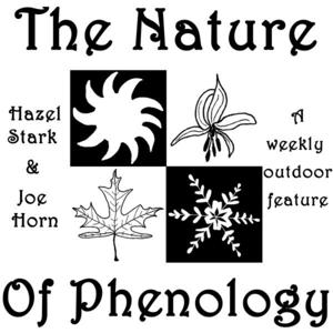 The Nature of Phenology | WERU 89.9 FM Blue Hill, Maine Local News and Public Affairs Archives
