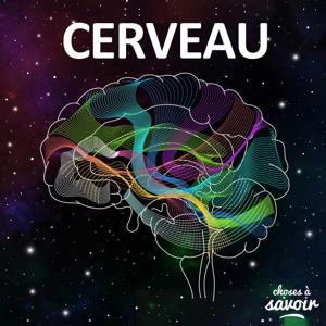 Choses à Savoir CERVEAU by Choses à Savoir