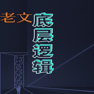 老文的底层逻辑1（畅听版）|重装系统还不晚