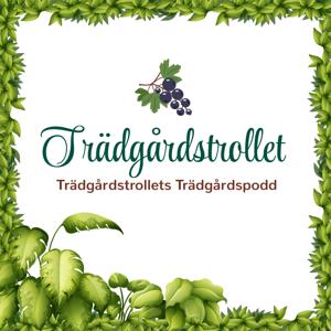 Trädgårdstrollets Trädgårdspodd by tradgardstrollet