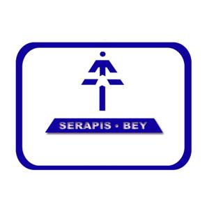 2021 Serapis Bey - Maestros de la energía y vibración