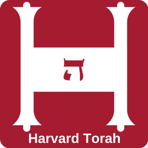 Harvard Torah