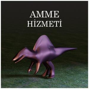 Amme Hizmeti