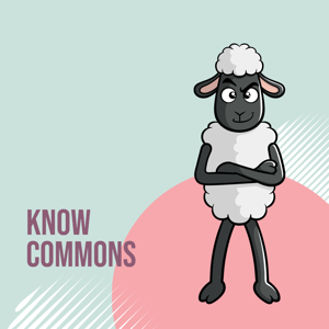 Know Commons