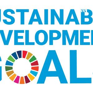 Sustainable Development Goals