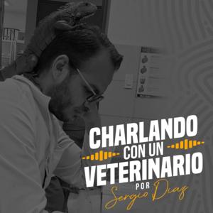 Charlando con un veterinario por Sergio Díaz