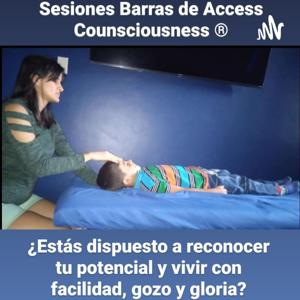 Barras De Access